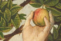 PlaceholderからVCへの手紙:暗号通貨配分の原罪