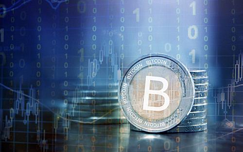 Deconstructing the Bitcoin Transaction Ecosystem: What Institutions Are Involved and What Are They Doing?