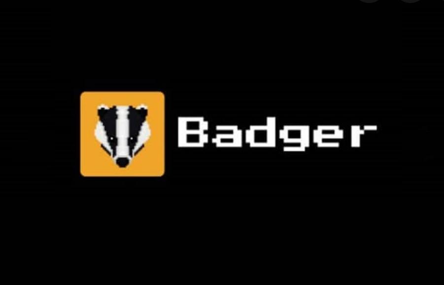 Badger DAO 사용자, 1.2억 달러 이상 도난: "승인" 권한이 악용되어 발생한 참사