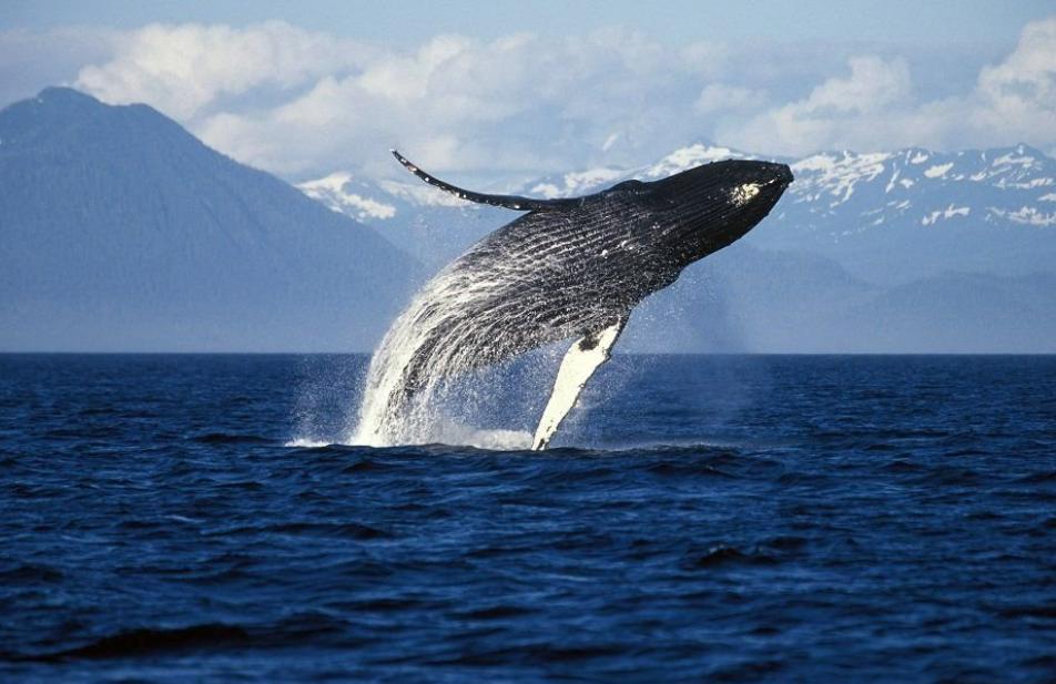 2021년 7개 Layer2 확장 프로젝트의 진행 상황 및 생태계 개요