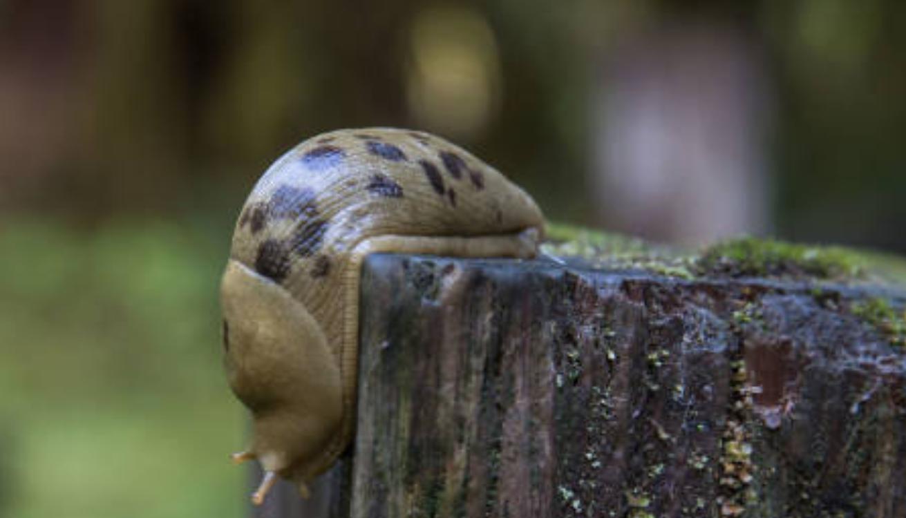 2021年の業界トップのベンチャーキャピタル機関が投資したプロジェクトのパフォーマンスを振り返り、誰の成果が最も優れているのか？