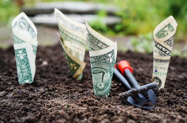 トークン募金における「ポピュリズム」に警戒せよ、暗号VCはあなたが想像するほど悪ではない