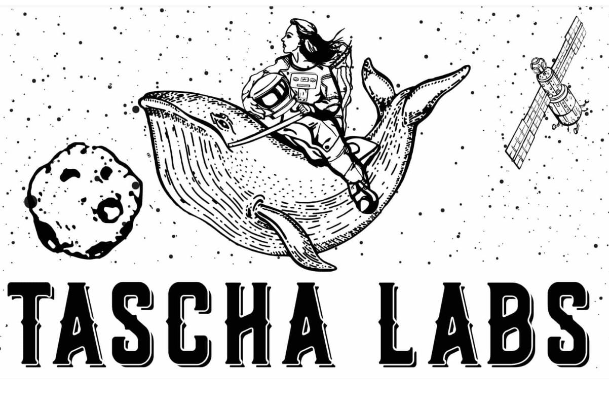 見解：現実の企業からの実用トークンがWeb3の次の大ブレイクスルーを促進する
