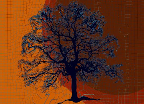 ZK Validator: 2022 年零知識證明領域回顧