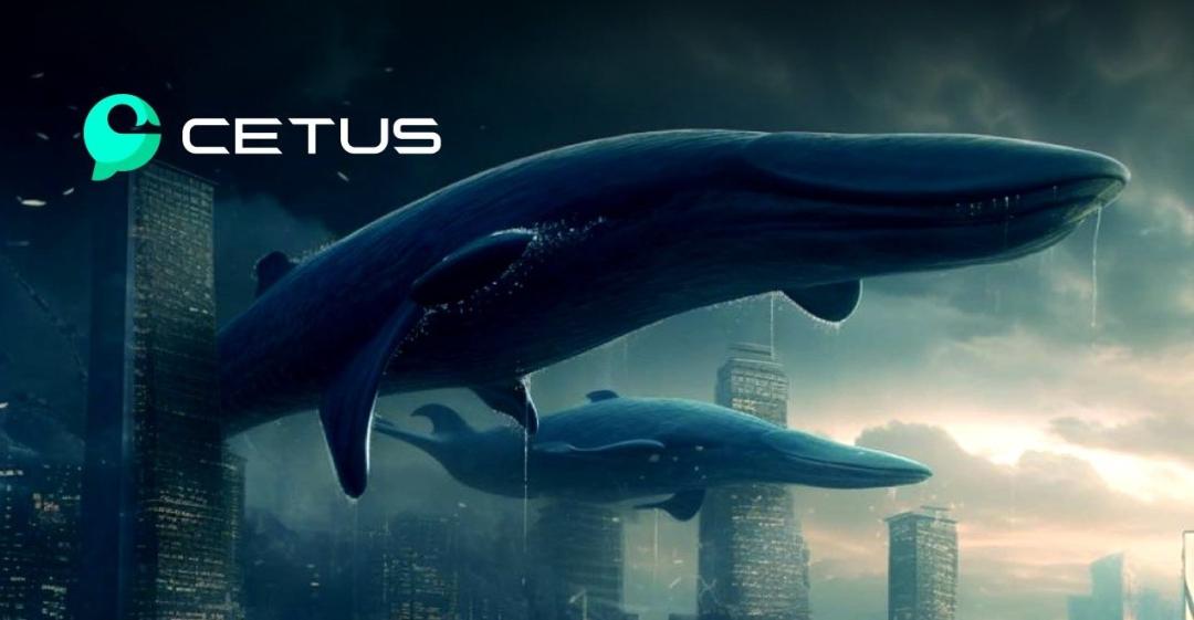 Sui와 Aptos 생태계 Dex 플랫폼 Cetus에 대한 자세한 설명