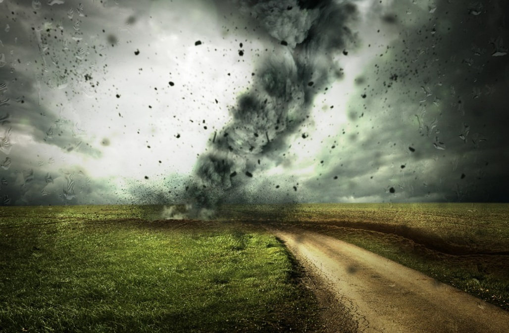 VMPXがガス戦争を引き起こし、XENトークンが下落し続けている。誰がジャック・レビン系のトークンの支払いをしているのか？