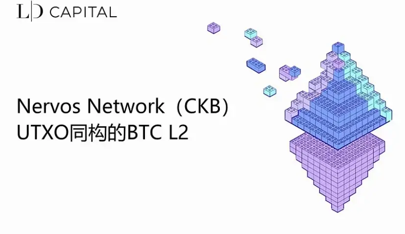 Nervos Network(CKB)：UTXO 동형의 BTC L2