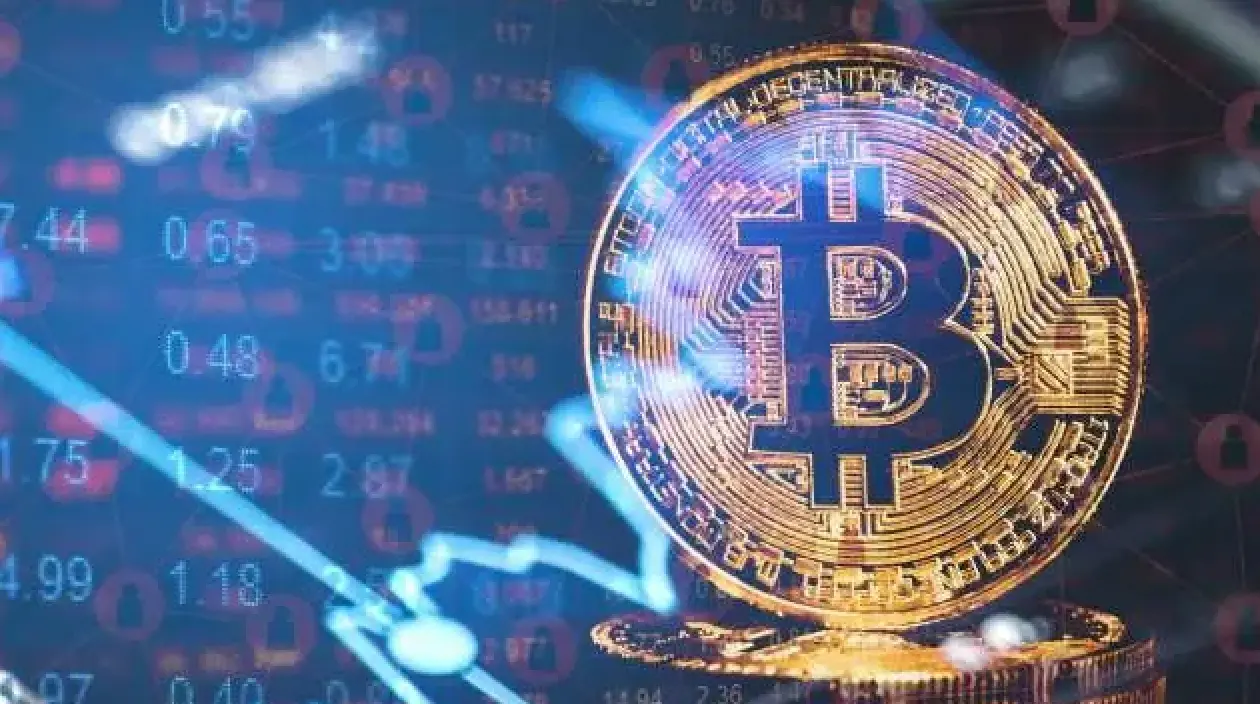 谁在买比特币?2024 年 ETF 与机构投资者全景解析