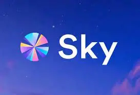 Incredible, the established DeFi protocol MakerDAO lost 5 million dollars in the first quarter