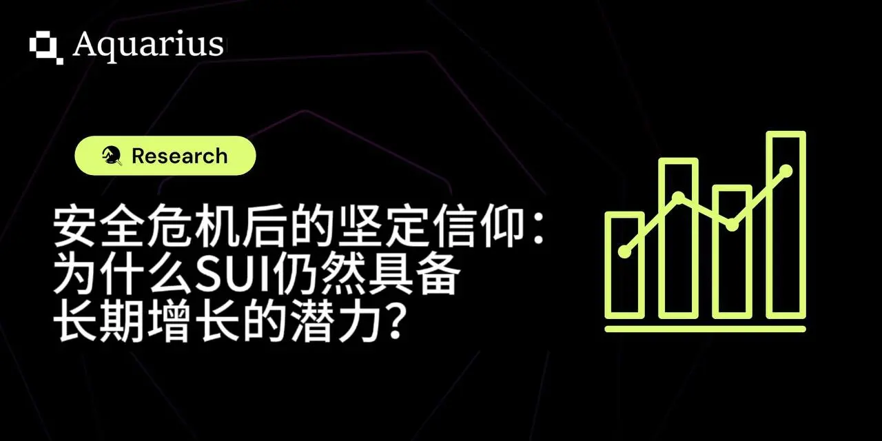 安全危機後的堅定信仰：為什麼 SUI 仍然具備長期增長的潛力？