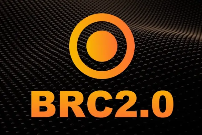 Best in Slot：BRC2.0 よくある質問