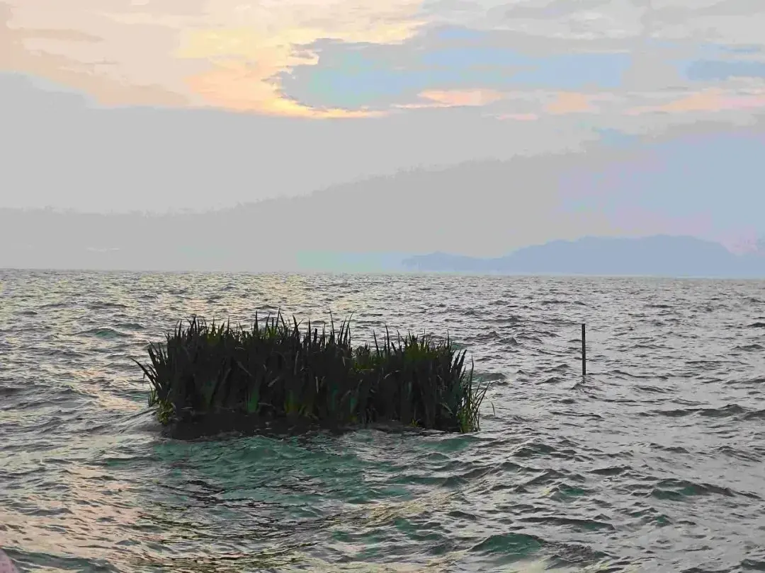 第一批 00 後 Web3 打工人已經開始“退圈”了