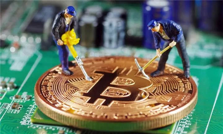 No-investment passive income: The top 10 most promising passive mining projects after testing Grass