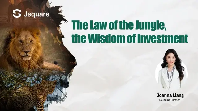 ジャングルの法則、投資の知恵