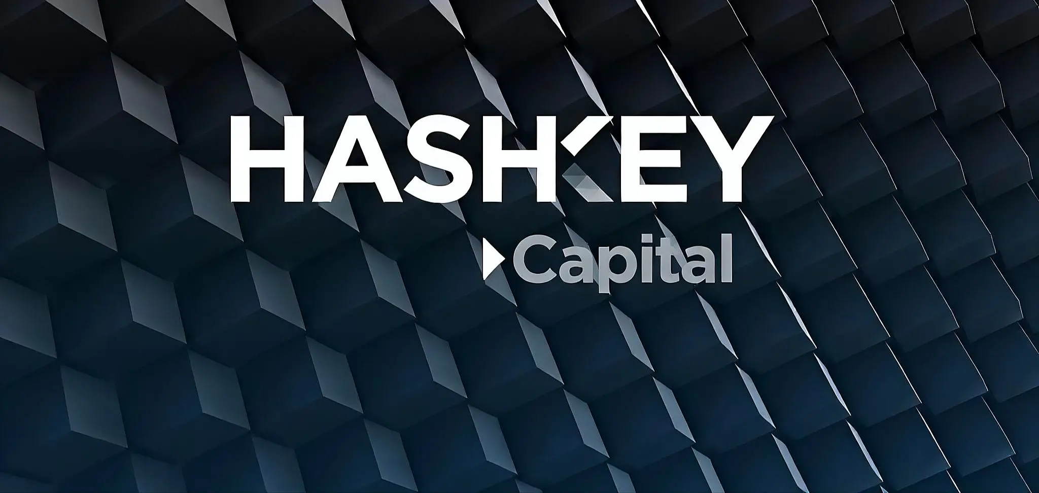 對話 Hashkey Capital 合夥人 Xiao Xiao：3 個月完成 2.5 億美元募資背後的故事與關鍵思考