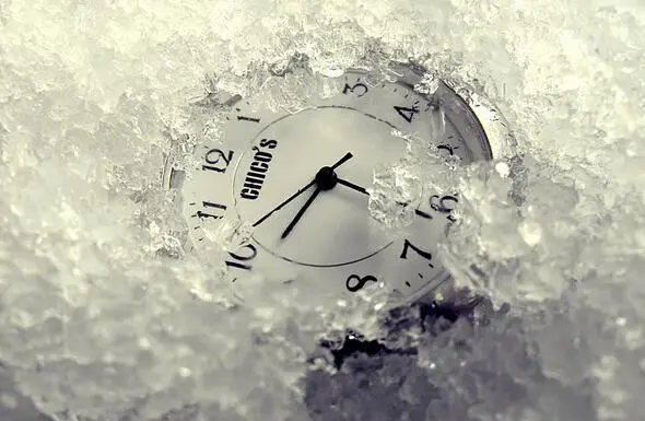 木頭姐の発言が引き金となり、バイナンスとCZが珍しい評判危機に直面した。