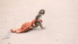 火币 HTX 公益版図に暖色が加わる:「パンチ精神」で世界の善意をつなぐ