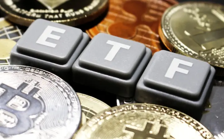 곰 시장이 왔고, 암호화 ETF 발행사도 휘말렸다